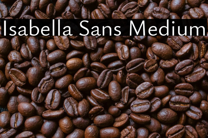 Isabella Sans Medium Example 3