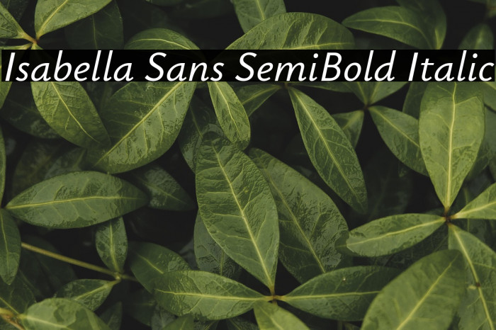 Isabella Sans SemiBold Italic Example 3