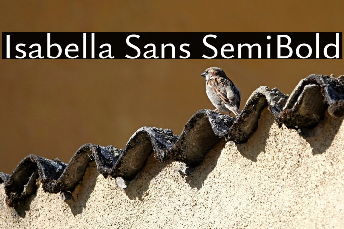 Isabella Sans SemiBold Example 3