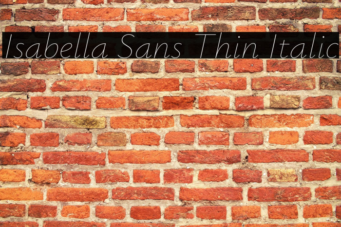 Isabella Sans Thin Italic Example 1