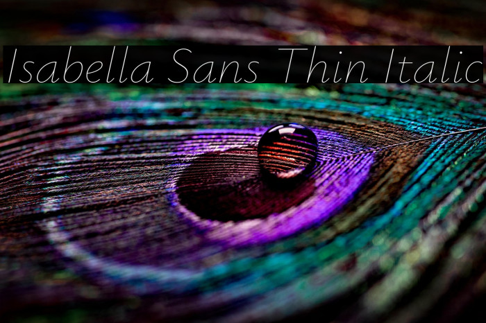 Isabella Sans Thin Italic Example 3
