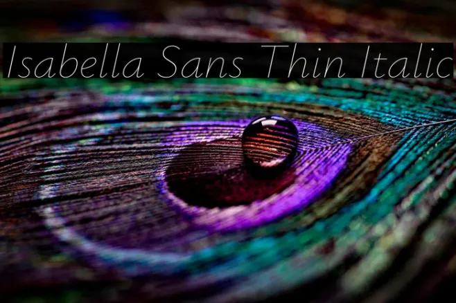 Isabella Sans Thin Italic Example 3