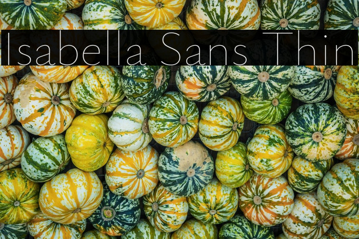 Isabella Sans Thin Example 2