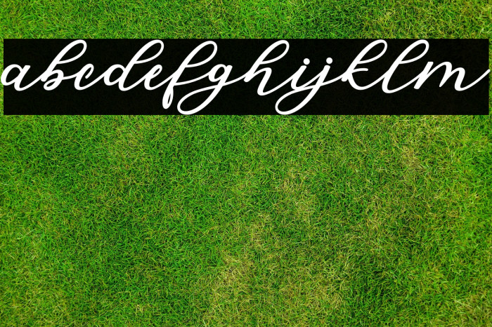 IsabellaScript Example 2