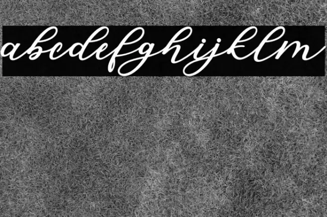 IsabellaScript Font examples