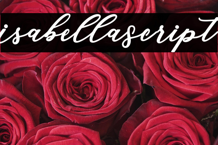 IsabellaScript Example 2