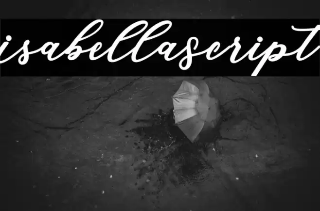 IsabellaScript Font examples