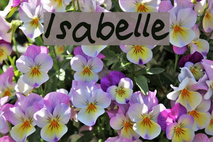 Isabelle Font examples