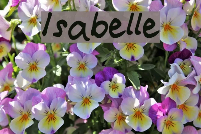 Isabelle Example 2