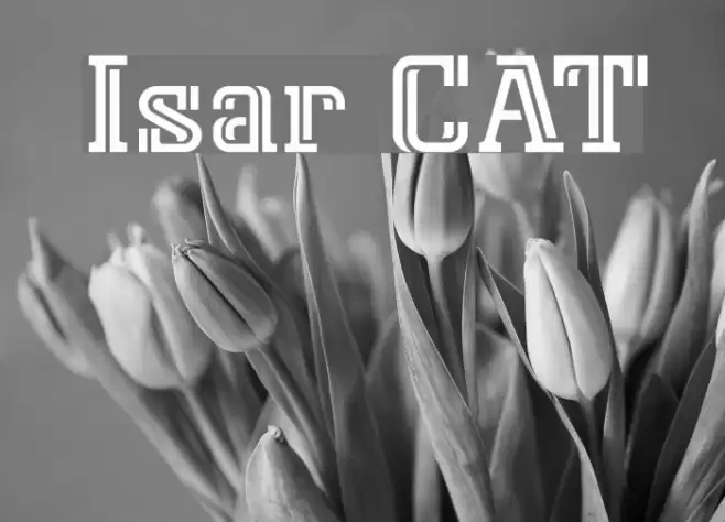Isar CAT Font examples