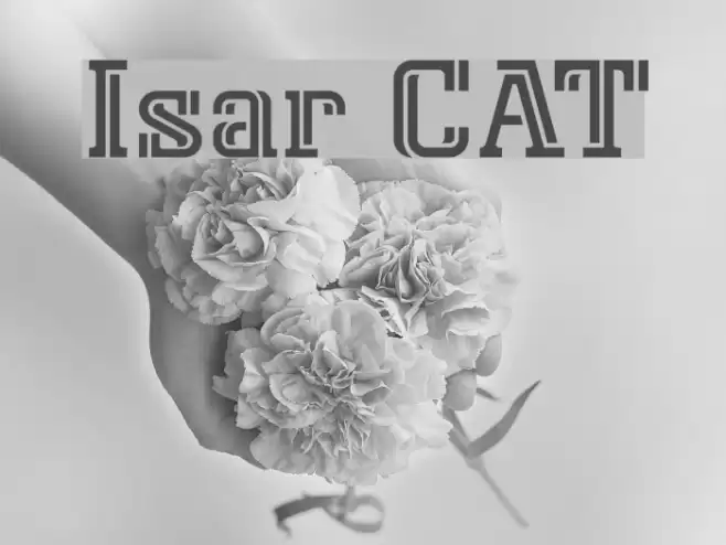 Isar CAT Font examples