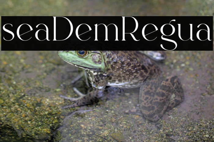 Iselora Demo Regular Example 2