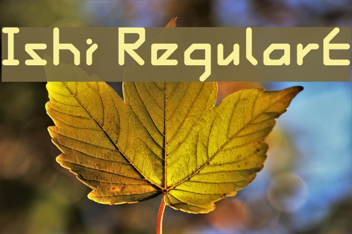 Ishi RegularE Font examples