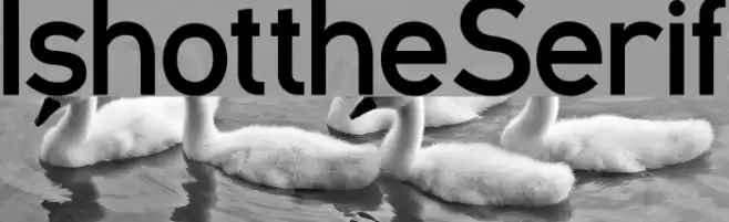 IshottheSerif Font examples