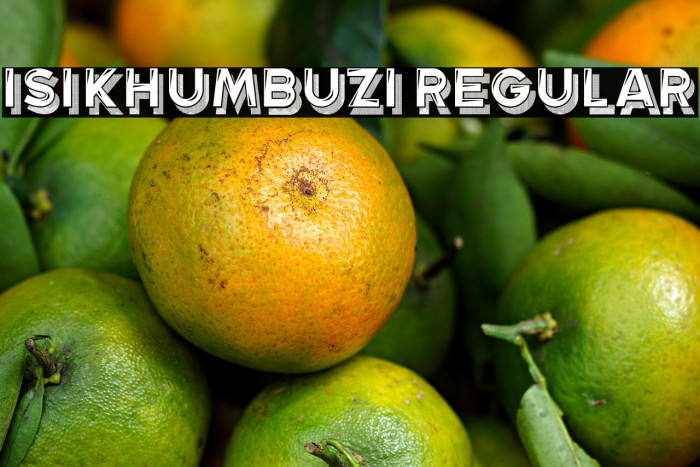 Isikhumbuzi Regular Example 1