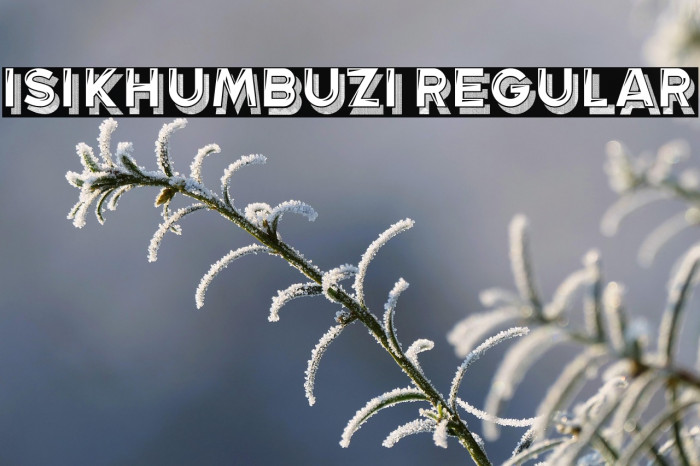 Isikhumbuzi Regular Example 3