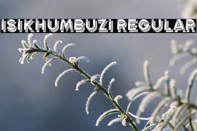 Isikhumbuzi Regular Example 3