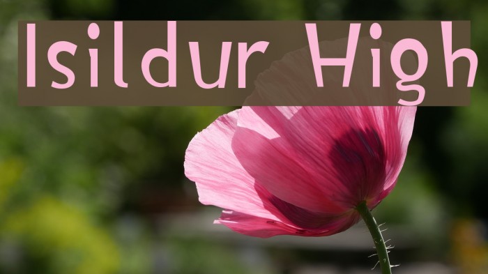 Isildur High Font examples