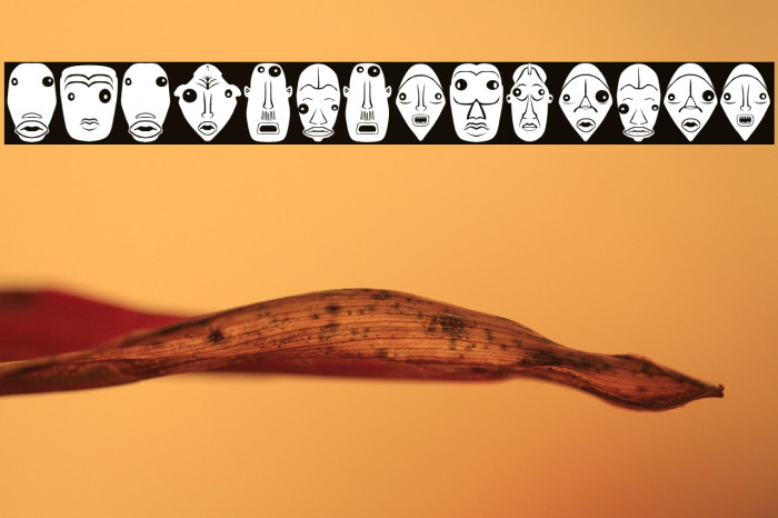 Isitolo Regular Example 1