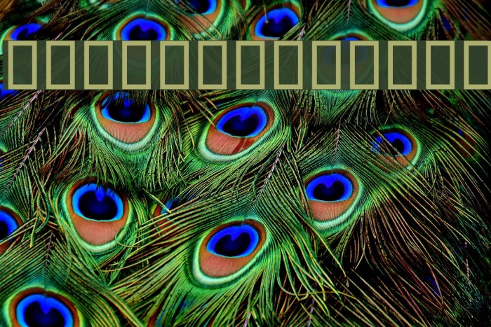 Islam Decor Example 1