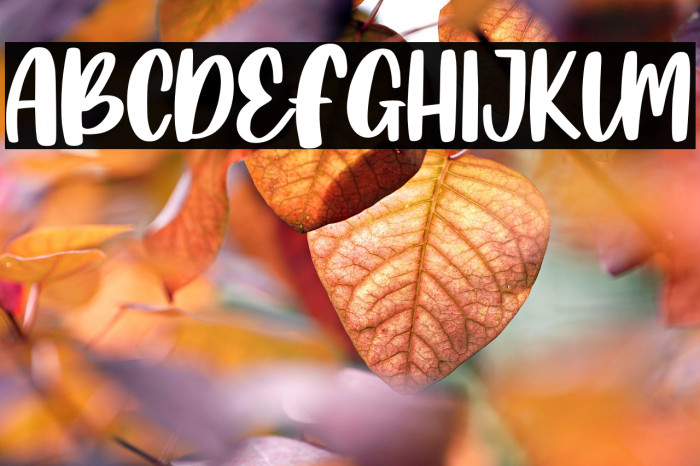 Island Namina Example 3