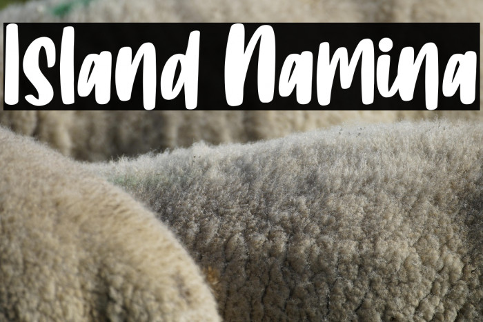 Island Namina Example 1
