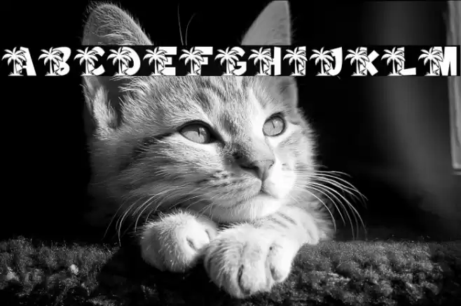 Island PERSONAL USE ONLY! Font examples