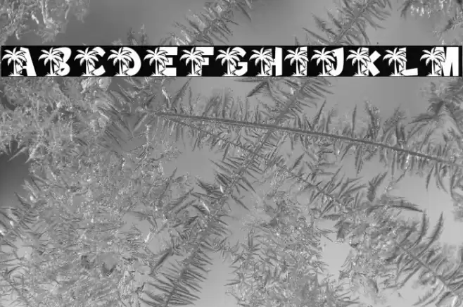 Island PERSONAL USE ONLY! Font examples