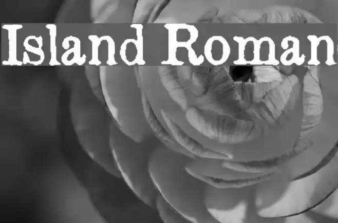 Island Roman Font examples