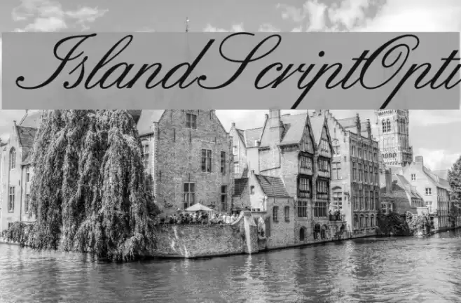 IslandScriptOpti  examples