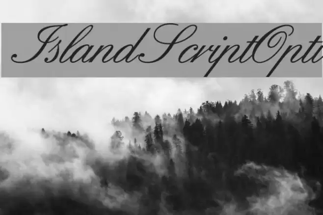 IslandScriptOpti  examples