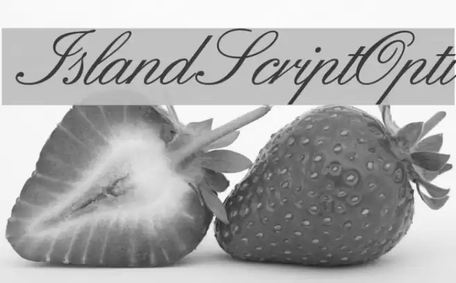 IslandScriptOpti  examples