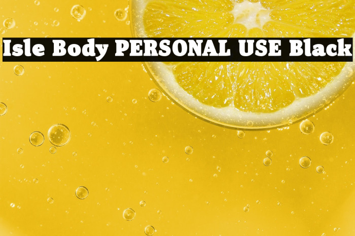 Isle Body PERSONAL USE Black Example 1
