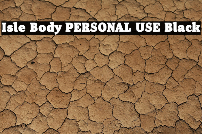 Isle Body PERSONAL USE Black Example 2