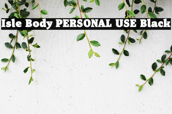 Isle Body PERSONAL USE Black Example 3