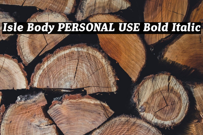 Isle Body PERSONAL USE Bold Italic Example 1