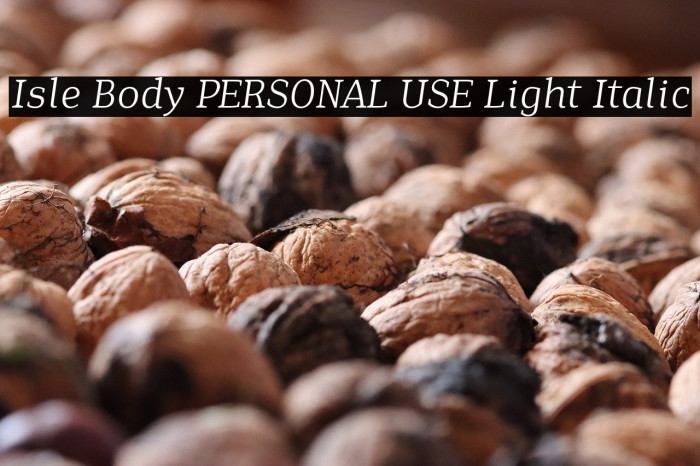 Isle Body PERSONAL USE Light Italic Example 2