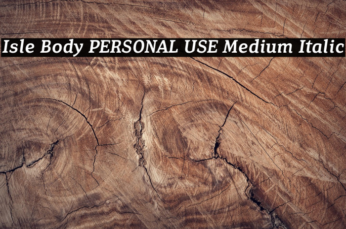 Isle Body PERSONAL USE Medium Italic Example 3