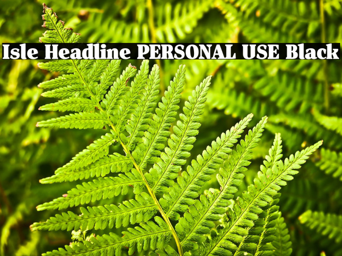 Isle Headline PERSONAL USE Black Example 1