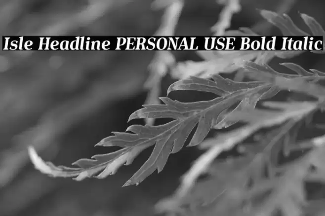 Isle Headline PERSONAL USE Bold Italic Font examples