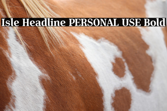 Isle Headline PERSONAL USE Bold Example 1