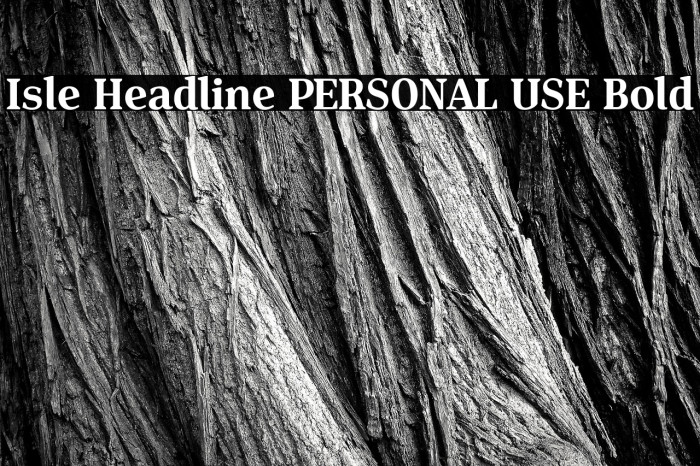 Isle Headline PERSONAL USE Bold Example 2