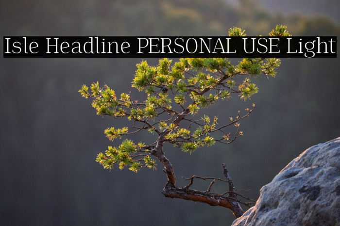 Isle Headline PERSONAL USE Light Example 1