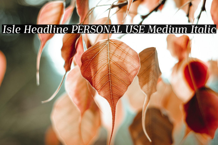Isle Headline PERSONAL USE Medium Italic Example 1