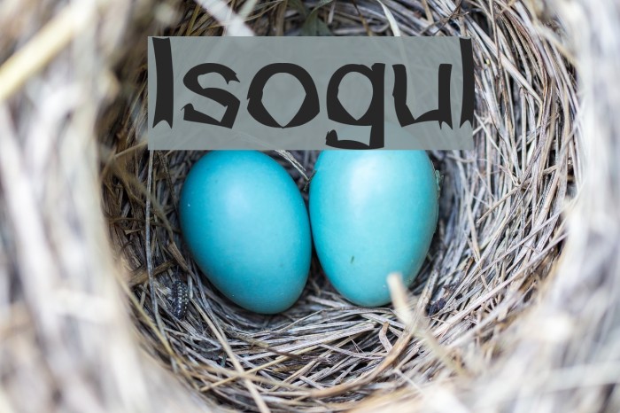 Isogul Font examples