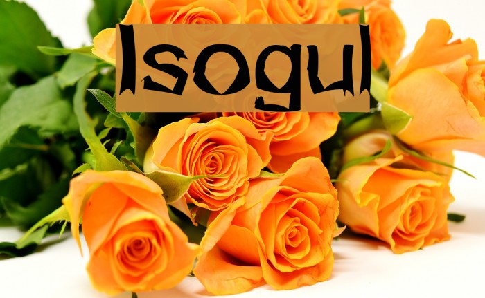 Isogul Font examples