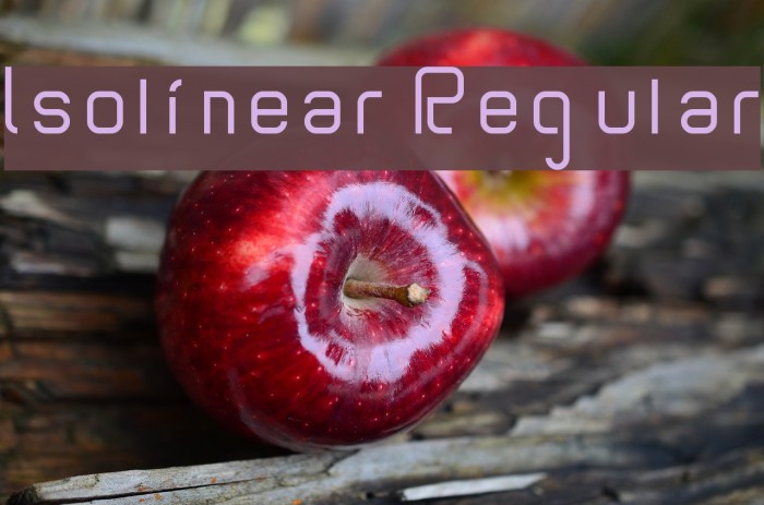 Isolinear Regular Font examples
