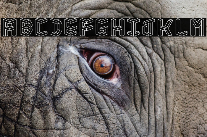 Isometria Club Example 1