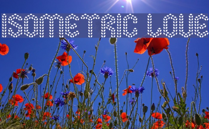 Isometric Love Example 1