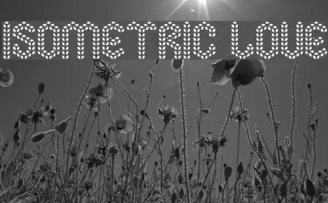 Isometric Love Font examples